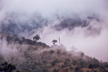 The fog rises top in mountains after a rain