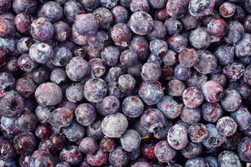 Frozen blueberries