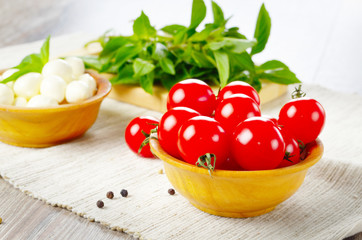 Mozzarella, tomatoes, basil and oil