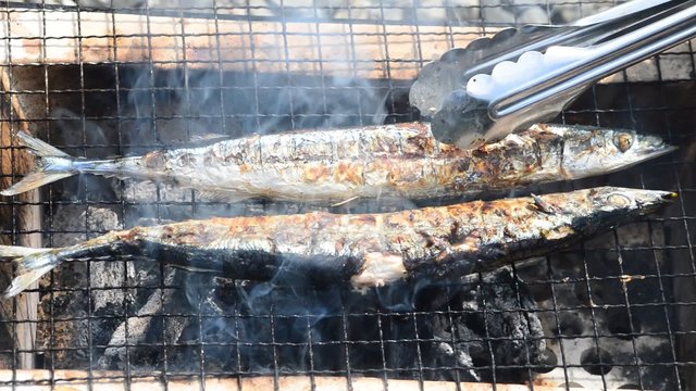 炭火焼サンマ
