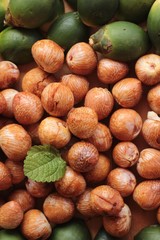 Betel palm