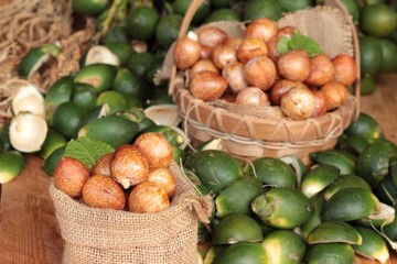 Betel palm