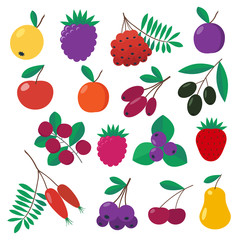 Fototapeta na wymiar Set of fruits and berries