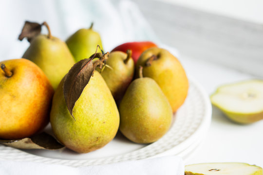 Autumn pears on white pastel background