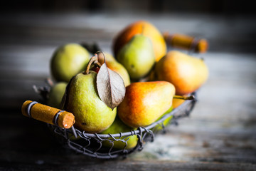Autumn pears on rustic wooden background © ehaurylik