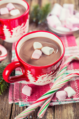 Delicious cocoa with marshmallows