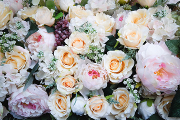 roses background texture