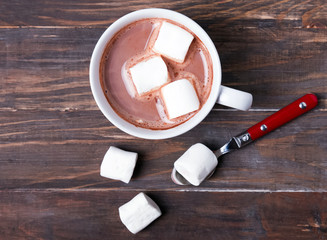 Fototapeta na wymiar Cup of hot cocoa with marshmallows