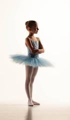  little ballet girl in tutu  - obrazy, fototapety, plakaty