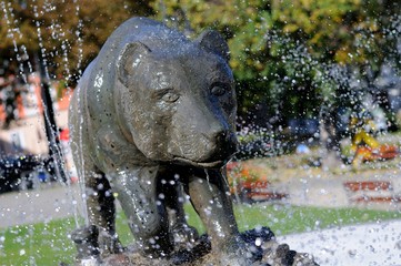 Fontanna ni9edźwiadka w Przemyślu © Pawel Gruntowicz