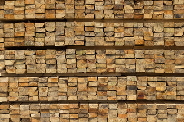 Cross section of sawn timber
