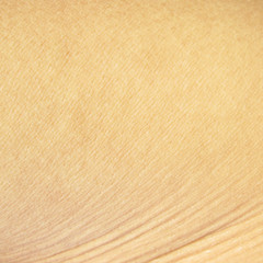 close up view of a human skin