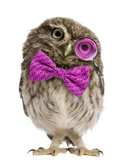 Little Owl wearing magnifying glass and a bow tie