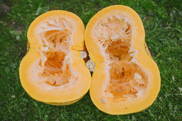 Closeup with a sliced big pumpkin on green background
