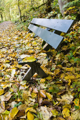Empty park bench
