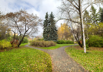 Trees on the white background