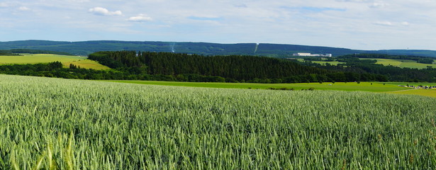 Hunsr&uuml;ck im Fr&uuml;hsommer