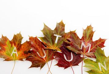 Autumn leaves decorative border with text