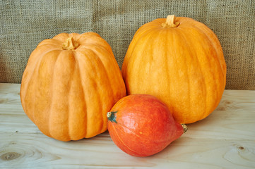 Autumn red and orange pumpkins on a wooden background in a rusti