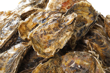 Fototapeta na wymiar 牡蠣　Oyster