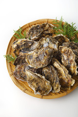牡蠣　Oyster