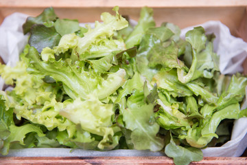 fresh vegetables in the salad bar corner