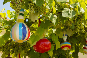 Colored gourds and vine with grapes    