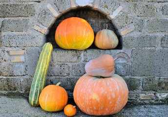 Varietà di zucche in una nicchia in tufo