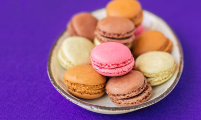 Oval Plate of Colorful Macarons Against a Purple Background