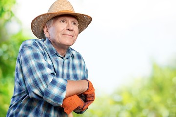 Gardening.
