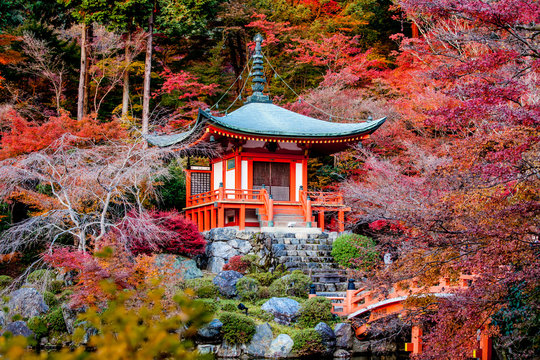 Autumn season,Daigoji Temple Japan