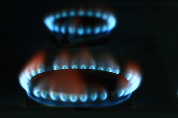 burner gas cooker