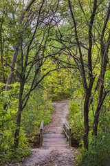 Pathway along the Spencer Gorge.