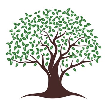 Oak Tree Vector. Oak tree logo illustration. Vector silhouette of a tree