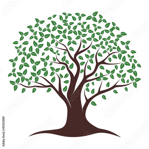 oak tree clip art vector - photo #7