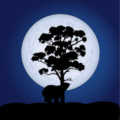 bear on a moonlight color vector