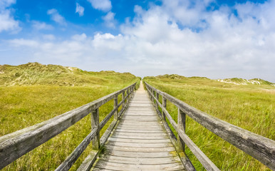 Fototapeta na wymiar Idyllic wooden path in european nort sea dune beach landscape
