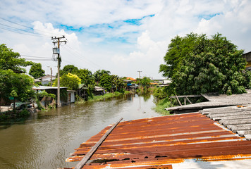 Bang Ping the community