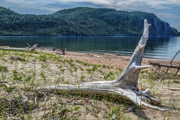 Fototapeta na wymiar Driftwood on beach of Old Woman Bay, Lake Superior.