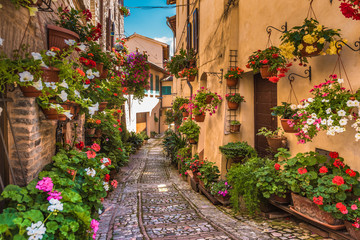 Kwiatowa ulica w środkowych Włoszech, w małym średniowiecznym miasteczku, Umbria - obrazy, fototapety, plakaty