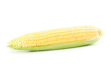 Corn isolated on a white