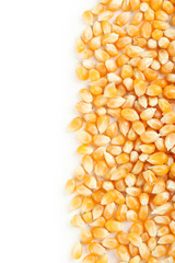 Dried corn grains on white background