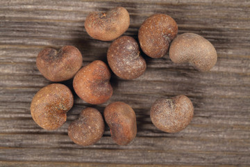 Fototapeta na wymiar Baobab seeds