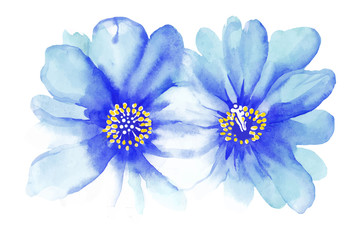 Obraz premium Watercolor blue flowers for your design