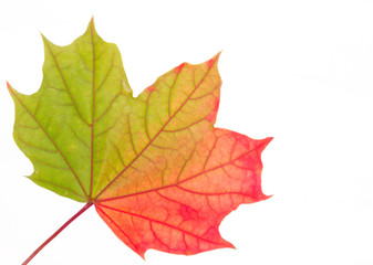 herbstlich
