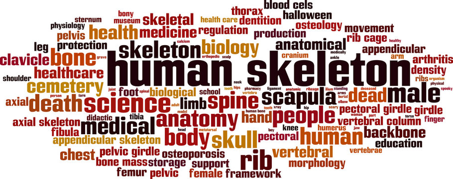 Human skeleton word cloud concept. Vector illustration