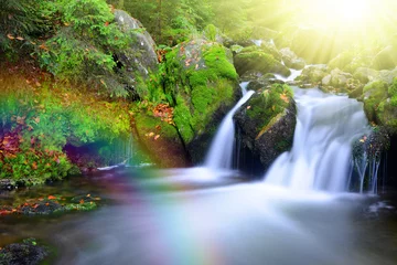 Foto op Plexiglas Waterfall on creek with rainbow. National park Sumava-Czech Republic © vencav