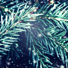 Christmas fir tree with falling snow as background and Christmas