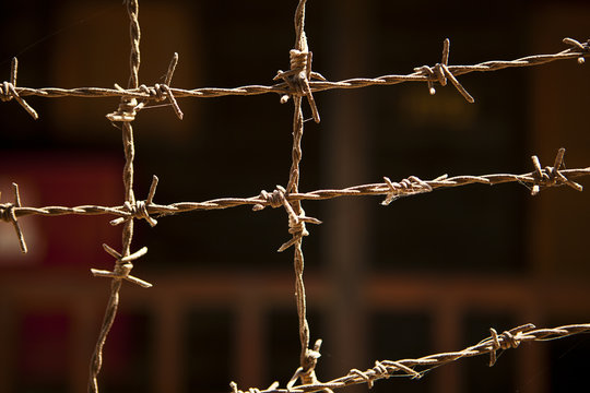 Barbed Wire Fence
