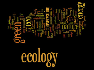 Obraz premium Conceptual ecology word cloud
